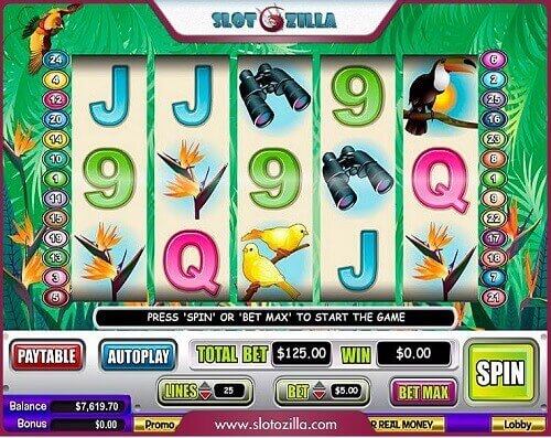 Red Stag Casino birds of paradise slot