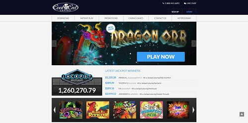 CoolCat online casino review - casino homepage