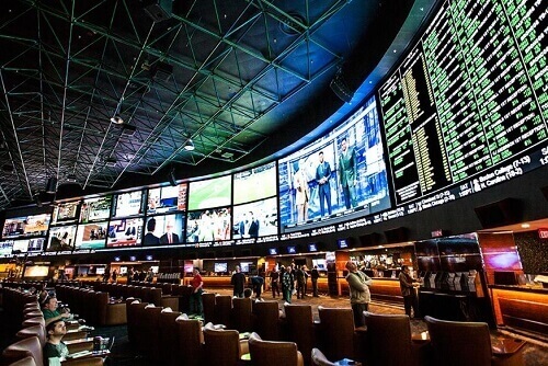 Sports bettors banned for winning too much, says report