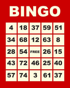 tips untuk bingo