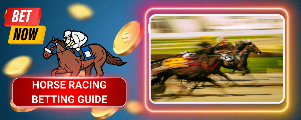Horse Racing Betting Guide